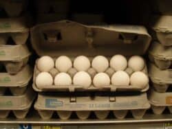 Dozen Eggs